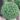 sedum_thundercloud