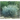 festuca-glauca-intense-blue