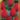Triumph_Red_tulipan_viraghagyma