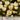 crocus_snowbunting_krokusz_viraghagyma
