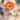 flower_record_narcisz_viraghagyma