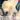 mount_hood_narcisz_viraghagyma