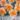 orangery_narcisz_viraghagyma
