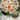 tazetta_geranium_narcisz_viraghagyma