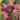 UVZ394_N1914705.indd