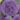 Allium_Gladiator_diszhagyma_viraghagyma