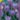 Crocus_Flower_Record_viraghagyma