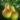 nagovics_heber_korte