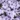 phlox_subulata_fabulous_blue_dark_center_arlevelu_langvirag.jpg