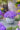 aubrieta-cultorum-florado-blue-eye-pázsitviola