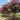 Lagerstroemia-indica-Liget-Pink-kinai-selyemmirtusz