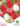 Tulipan-Trio-Easter-Monday