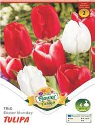 TULIPÁN TRIO - Easter Monday / Virághagyma