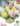 Tulipan-Trio-Prince-mixed
