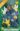 iris_hollandica_mix_szinkeverek_noszirom_viraghagyma
