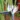 Strelitzia nicolai_papagajvirag