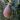 ficus_carica_melanzana_fuge