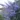 vitex_agnus_latifolia-baratcserje