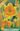 Narcisus_Congress_narcisz_viraghagyma