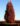 Quercus_bimundorum_Crimson_Spire_Oszlopos_hibrid_tolgy