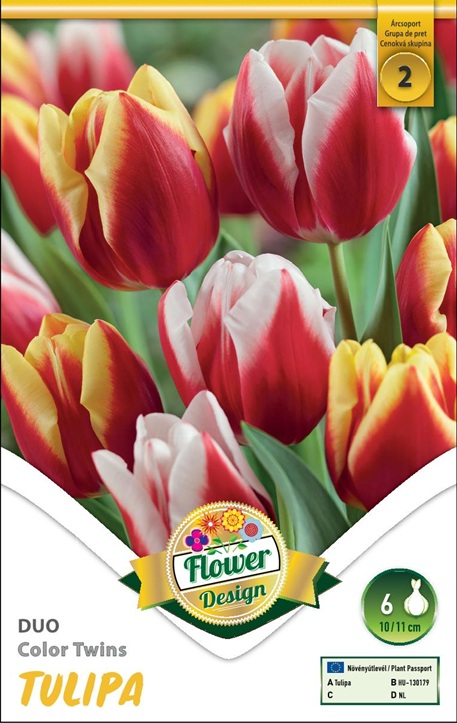 TULIPÁN DUO – Color Twins / Tulipán virághagyma
