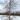 betula_pendula_spider-alley